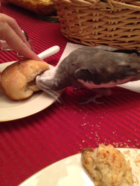 Oh good. She seems to have figured out the rest of these items should go in my "leftovers" package.