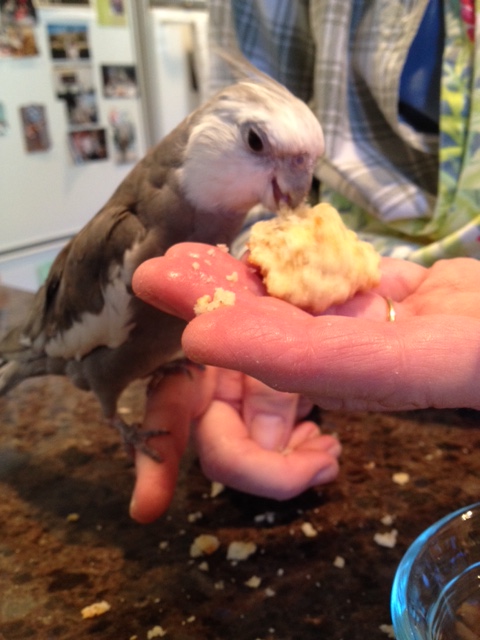 This is quite delicious.