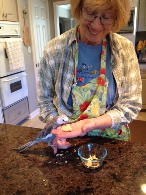 Here, a small boss with glossy feathers permits his assistant, the Small Chef, to hand-feed him a fresh-baked biscuit.