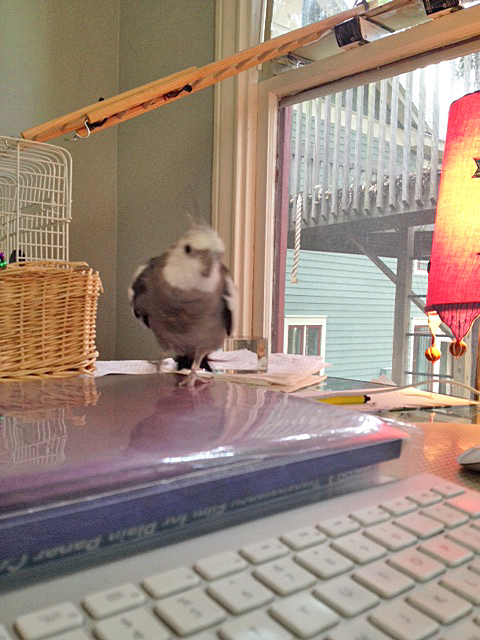 This is an excellent time for me to conduct a "covert op."