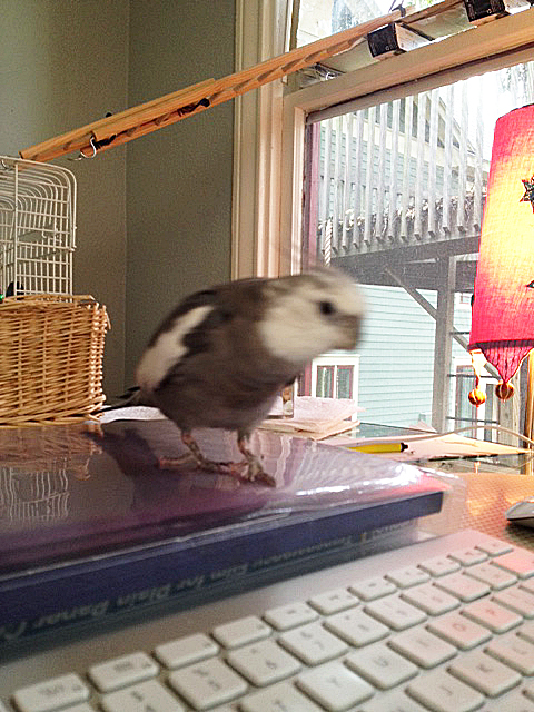 She's right there and doesn't even see me sneaking up to the launchpad.