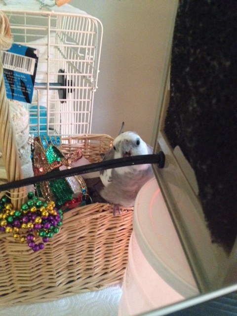 I know what always works to bring her running back.....