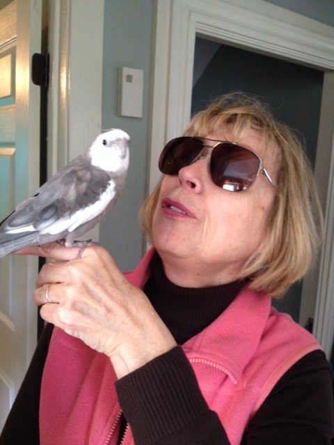 I'll have my large featherless photographer take a "classified" photo for the mission file.