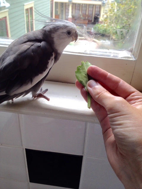 Yes of course I'm sure.