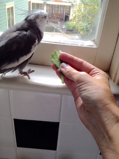 Miss, you've got the wrong table. I didn't order that.