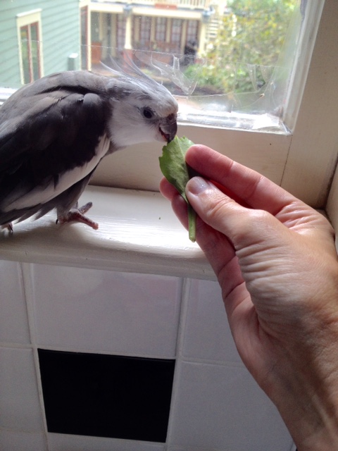 Okay, fine, I'll take a taste.