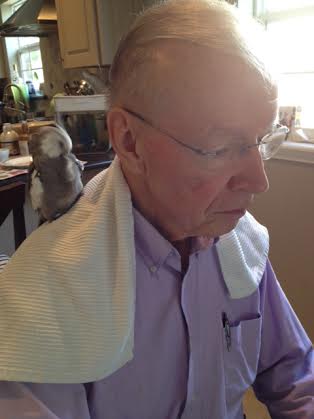 Your perch is in the prime location (on top of the Tall Tree, which is a great vantage point from which to scope out victuals and gifts).