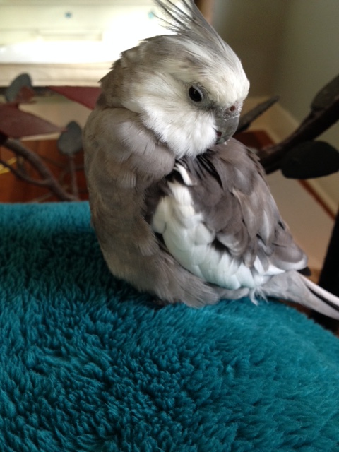 Yup. Very very chilly in here.