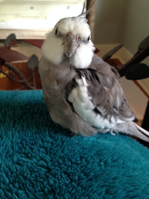 Boy is it cold in here.