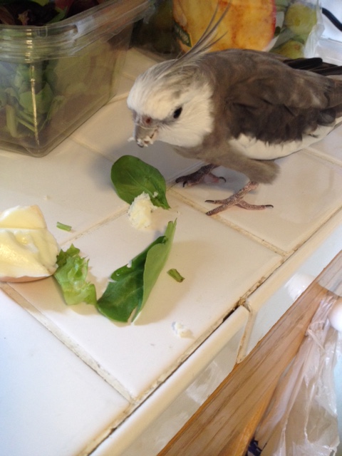 I'll just have a bit of fortification before our journey - customize the escape pod to our needs.....