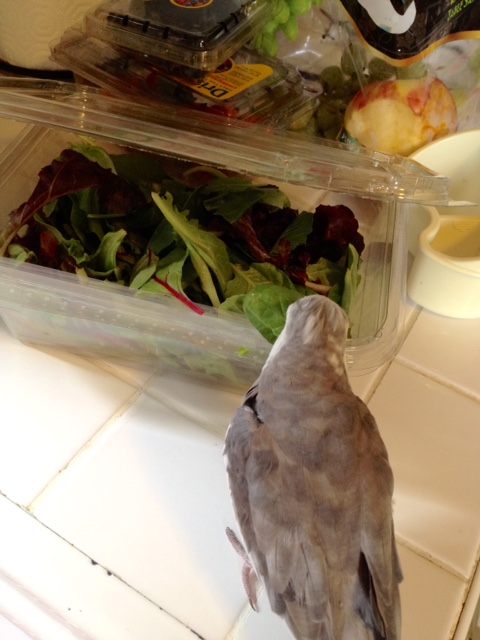 Okay, so which one of you needs extracting? Step forward and identify yourself.