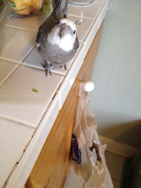 A "classified" mission? Green things in need of extraction? I'm on it!