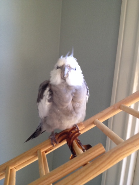 Boy is it cold in here.