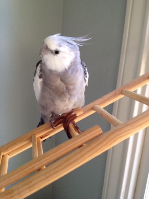 Got it, Mom? C.O.L.D. I.N. H.E.R.E.