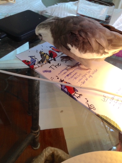 Whoa. Hey, Mom - come check this out!