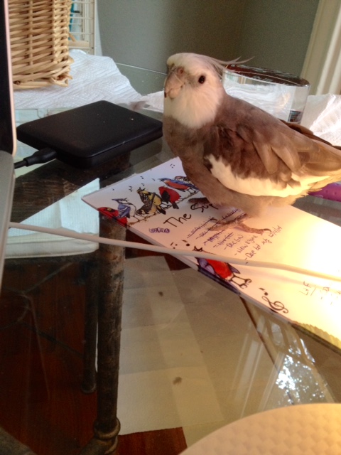 They'll do it, Mom, but they want waffles during every break.