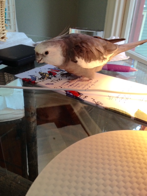 What's that? Waffles? Sure there'll be waffles during filming breaks!