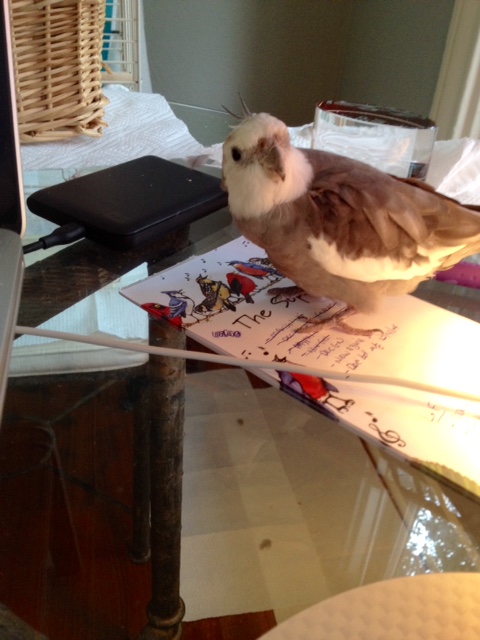 This cast would be perfect to replace those grumpy featherless beings in that show you like!