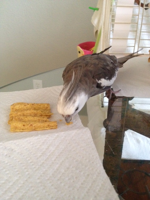 Very crunchy indeed! Yes, I recognize this light and savory flavor. Okay, you can stay.