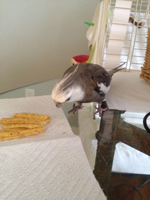 All right - I'll initiate the standard "snack security" protocols.