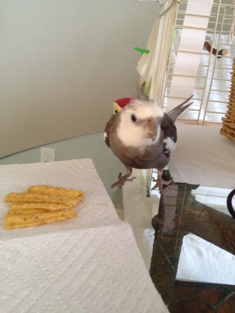 Who are you? Where did you come from? Are you alone? Who let you in?