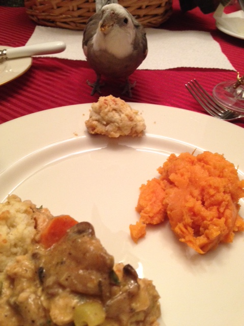 So this is my prop, Mom? It looks delicious! We definitely picked the right photo shoot.