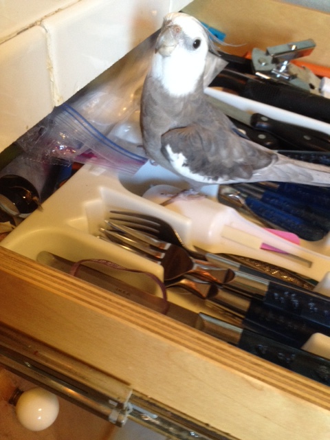 And for two toasted waffles I'll tell you how to do it!