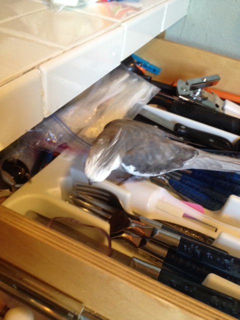 You, there. Is that as shiny as you can be? I didn't think so.