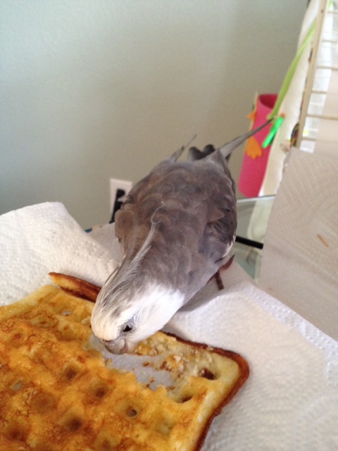 More scrutiny and touch-ups and the piece is close to complete.