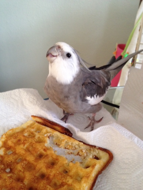 Pronouncing his work complete, the artist poses as his audience breaks into spontaneous applause.