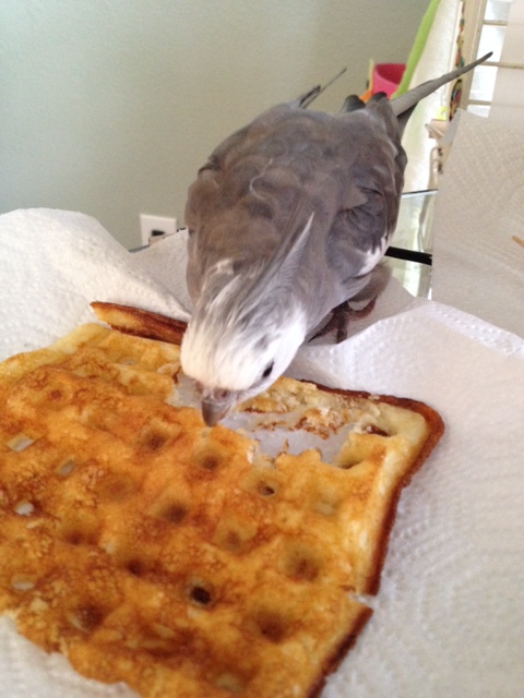 He scrutinizes the emerging design for flaws.