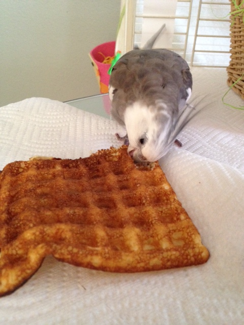 Lucky for her, this looks both crunchy and delicious.