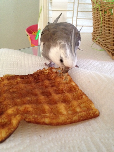 Well, shoot, that sure took long enough. I thought I was going to have to sing all day!