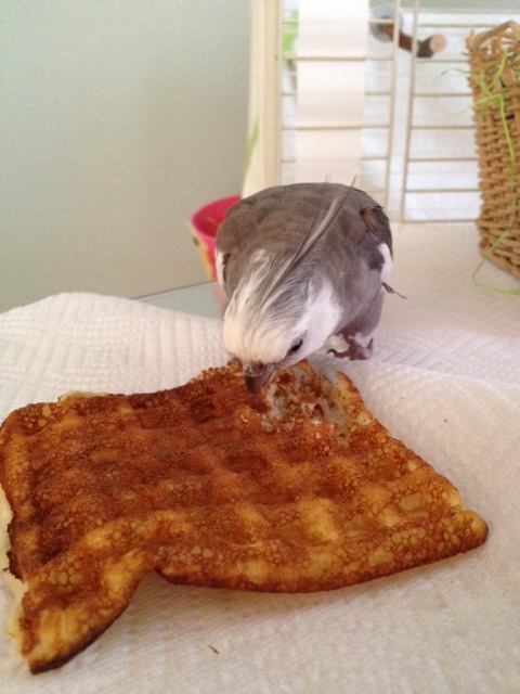 There is really no comparison - in flavor, in texture, in anything that matters.