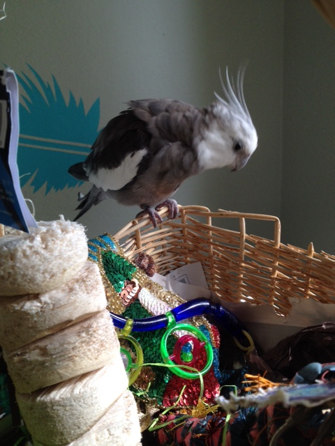 What's that you say? You're not confused?