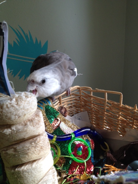 I'll just fix that right now.