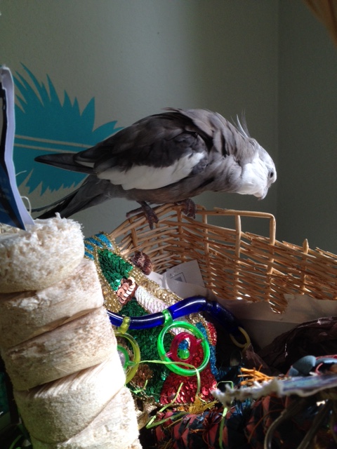 Hey you down there - where do you think you're going?