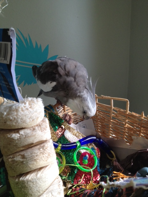 What about you? You look pretty confused to me.