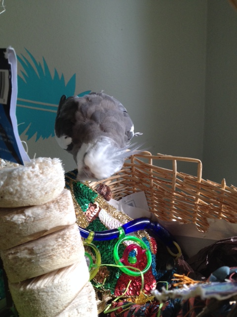 You also look confused.