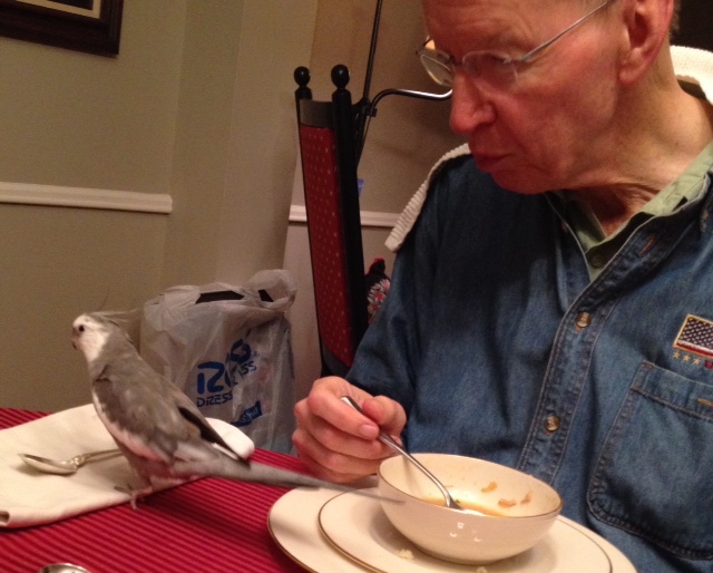 If there is anything I want that is out of reach I can point to it so the Tall Tree will get it for me (he has the longest reach).