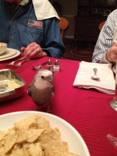 I like to position myself evenly between the Tall & Small Trees (who let me have whatever I want) and my large featherless assistant (who points out my cuteness to the guest diners).
