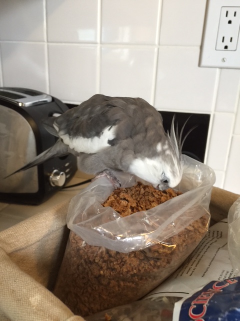 This looks very tasty - my favorite thing to have for my breakfast.