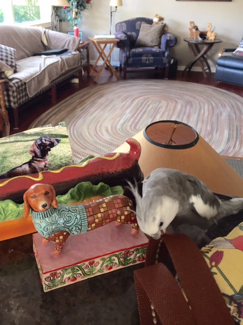 Let me just rearrange a few things to set the stage.