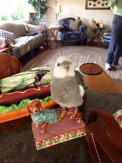 Yes, Mom, let's carry on - hopefully he hasn't brought his paparazzi friends this time.