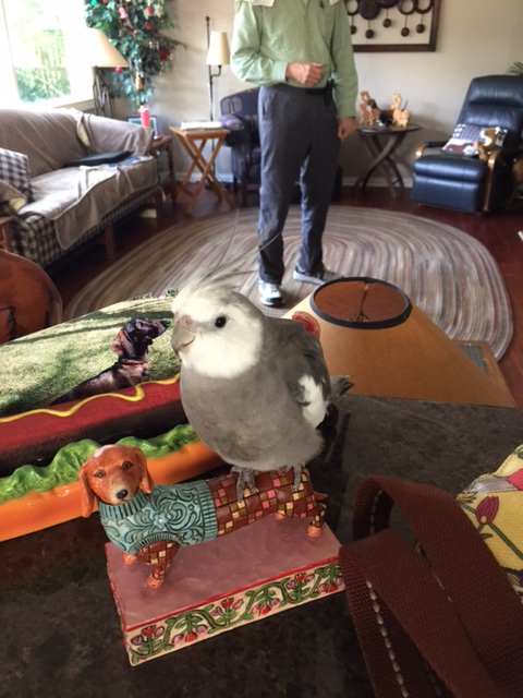 Oh, well, shoot. A paparazzi. How do they always know where to find me?