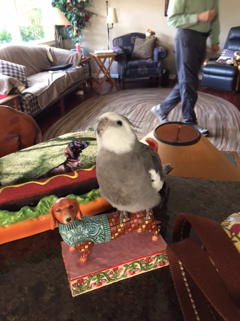 We'll use the usual strategy - stun him with cuteness.