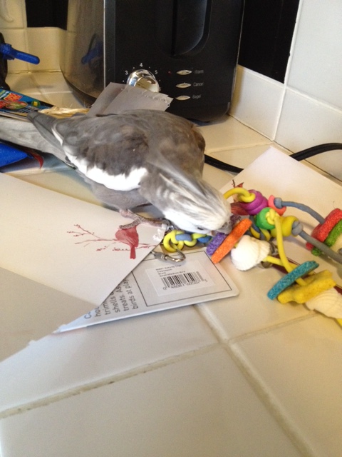 Both crunchy and crispy - this gift-giver really knows what I like!