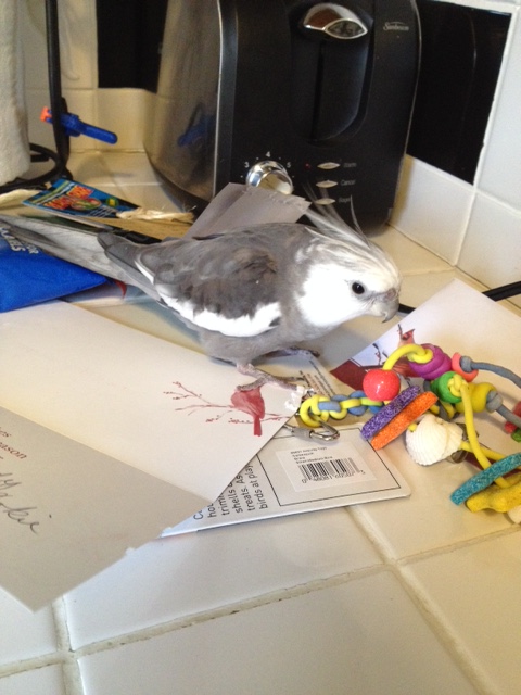 Wow! And this is for me too!