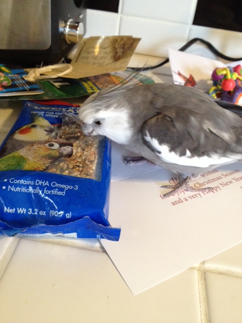 More presents for me? Well I'll be! And this one looks delicious!