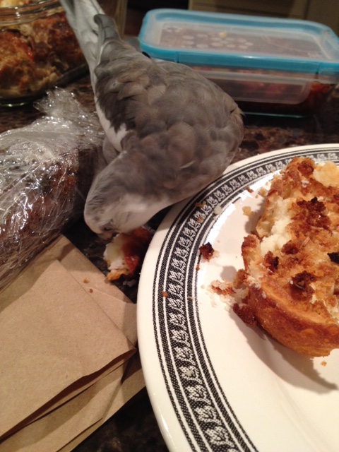 Well if you won't stay put I'll just have to consume you right now.